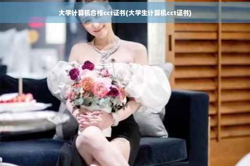 大学计算机合格cct证书(大学生计算机cct证书)