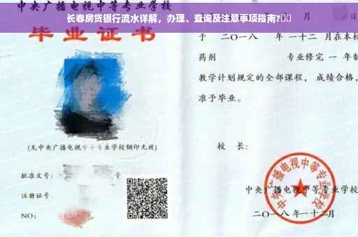 长春房贷银行流水详解，办理、查询及注意事项指南?⚡️