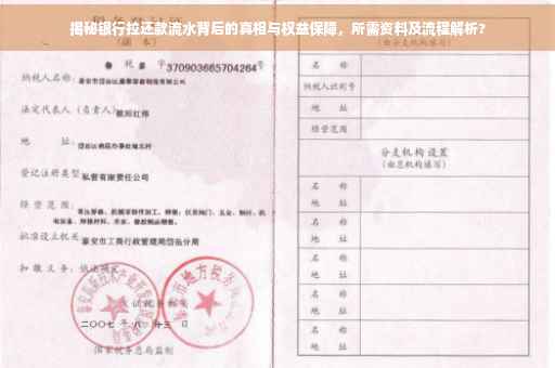 揭秘银行拉还款流水背后的真相与权益保障，所需资料及流程解析?