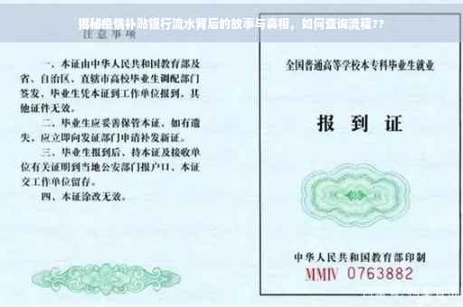 揭秘疫情补贴银行流水背后的故事与真相，如何查询流程??