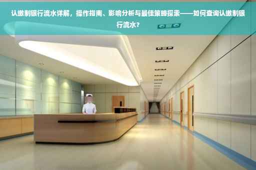 认缴制银行流水详解，操作指南、影响分析与最佳策略探索——如何查询认缴制银行流水？