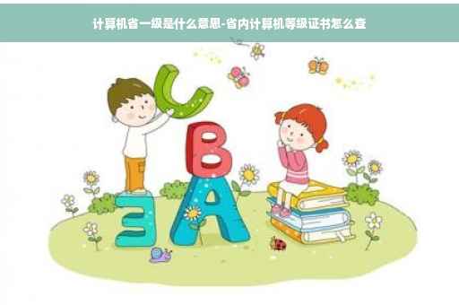 计算机省一级是什么意思-省内计算机等级证书怎么查