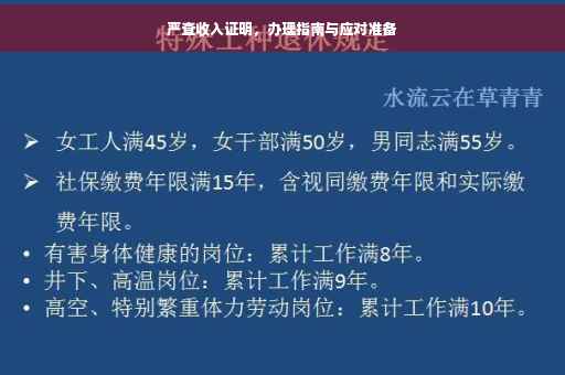 严查收入证明，办理指南与应对准备