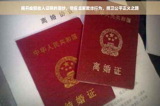 揭开虚假收入证明的面纱，举报卖家欺诈行为，捍卫公平正义之路