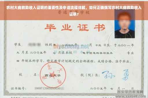 农村大病救助收入证明的重要性及申请流程详解，如何正确撰写农村大病救助收入证明？