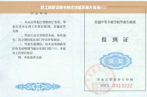 职工辞职证明书格式详解及图片指南?⚡️