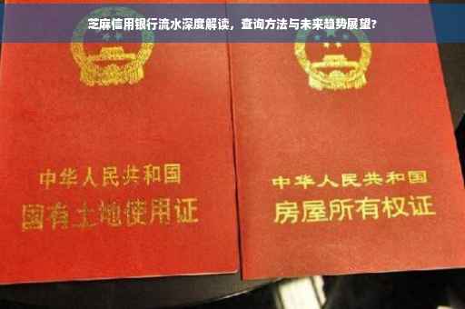 芝麻信用银行流水深度解读，查询方法与未来趋势展望?