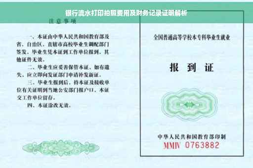 银行流水打印拍照费用及财务记录证明解析