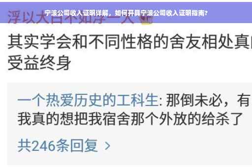 宁波公司收入证明详解，如何开具宁波公司收入证明指南?