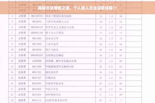 揭秘合法增收之道，个人收入合法证明详解??