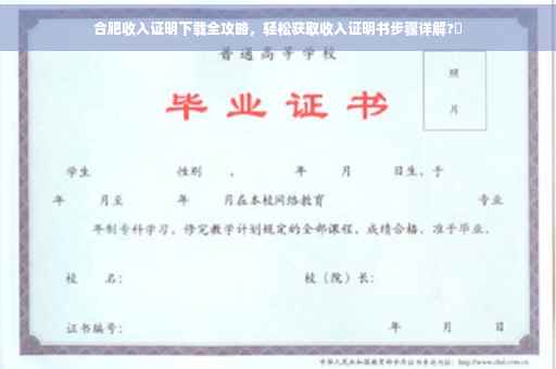 合肥收入证明下载全攻略，轻松获取收入证明书步骤详解?✨