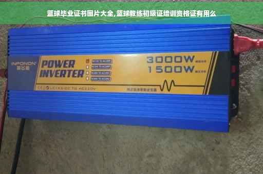 篮球毕业证书图片大全,篮球教练初级证培训资格证有用么