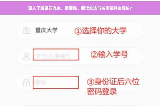 深入了解银行流水，重要性、解读方法与所需证件全解析?