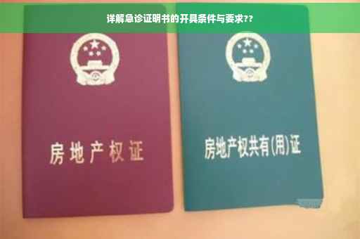详解急诊证明书的开具条件与要求??