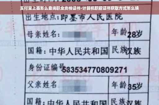 支付宝上面怎么查询职业资格证书-计算机职称证书获取方式怎么填