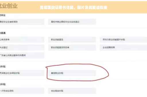 胃癌医院证明书详解，图片及其解读指南