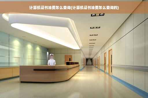计算机证书油费怎么查询(计算机证书油费怎么查询的)