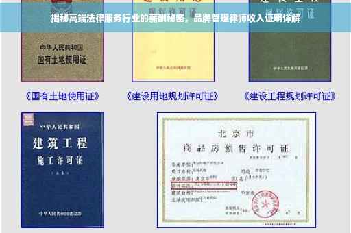揭秘高端法律服务行业的薪酬秘密，品牌管理律师收入证明详解
