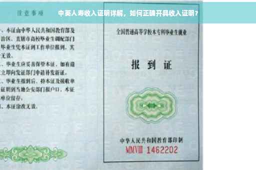 中英人寿收入证明详解，如何正确开具收入证明？