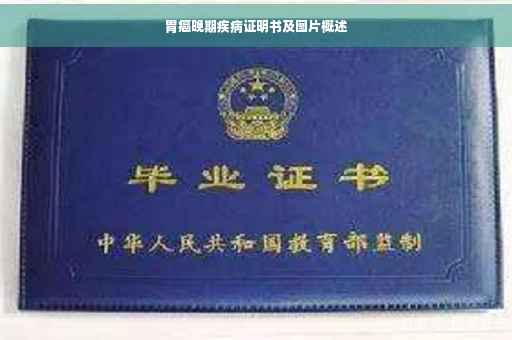 胃癌晚期疾病证明书及图片概述