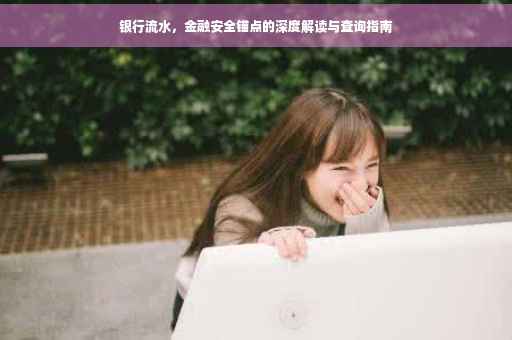 银行流水，金融安全锚点的深度解读与查询指南