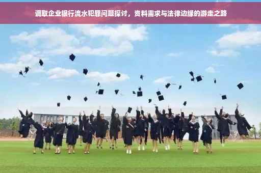 调取企业银行流水犯罪问题探讨，资料需求与法律边缘的游走之路