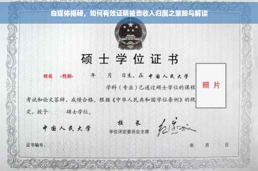 自媒体揭秘，如何有效证明被告收入归属之策略与解读