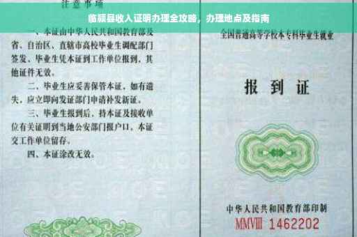 临颍县收入证明办理全攻略，办理地点及指南