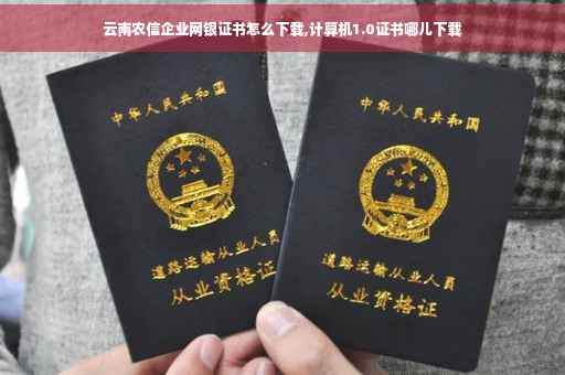 云南农信企业网银证书怎么下载,计算机1.0证书哪儿下载