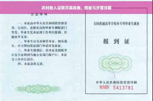 农村收入证明开具指南，模板与步骤详解