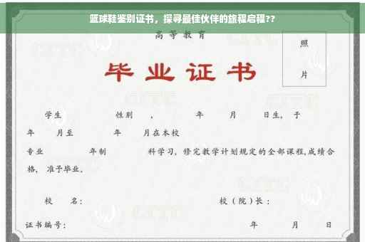 篮球鞋鉴别证书，探寻最佳伙伴的旅程启程??