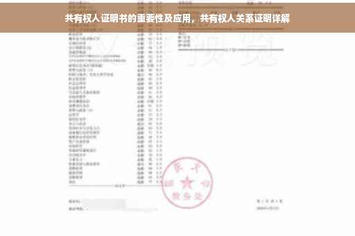 共有权人证明书的重要性及应用，共有权人关系证明详解