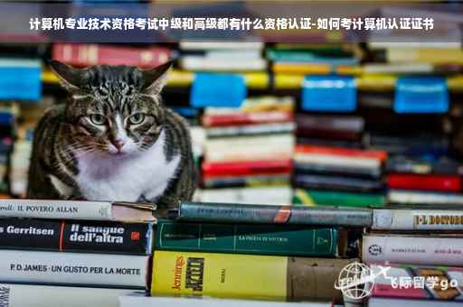 计算机专业技术资格考试中级和高级都有什么资格认证-如何考计算机认证证书