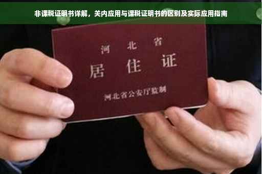 非课税证明书详解，关内应用与课税证明书的区别及实际应用指南
