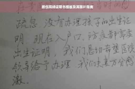 摔伤现场证明书模板及其图片指南