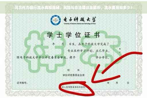 河北代办银行流水真相揭秘，风险与合法建议全解析，流水费用知多少？