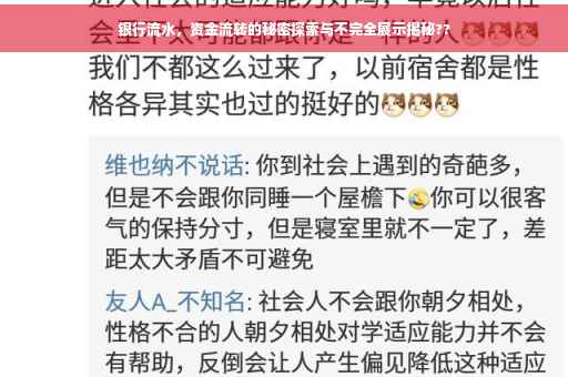 银行流水，资金流转的秘密探索与不完全展示揭秘??