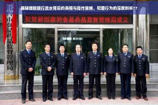 揭秘增刷银行流水背后的真相与操作策略，犯罪行为的深度剖析??