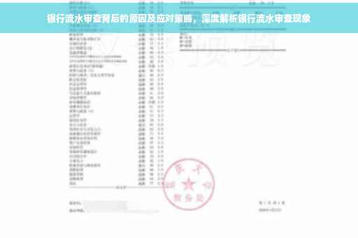 银行流水审查背后的原因及应对策略，深度解析银行流水审查现象