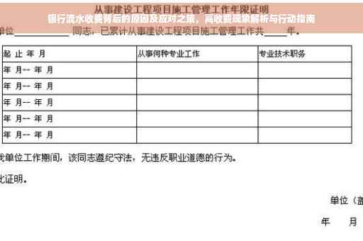 银行流水收费背后的原因及应对之策，高收费现象解析与行动指南