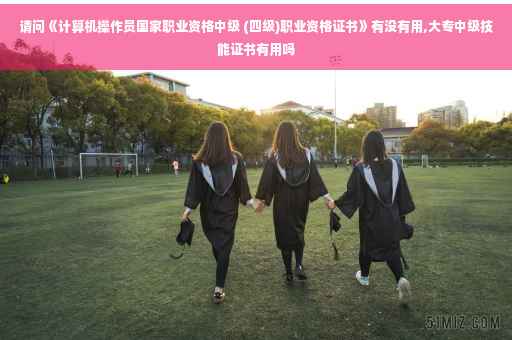 请问《计算机操作员国家职业资格中级 (四级)职业资格证书》有没有用,大专中级技能证书有用吗
