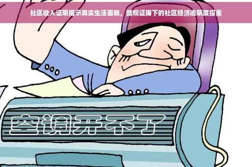 社区收入证明揭示真实生活面貌，微观证据下的社区经济透明度探索