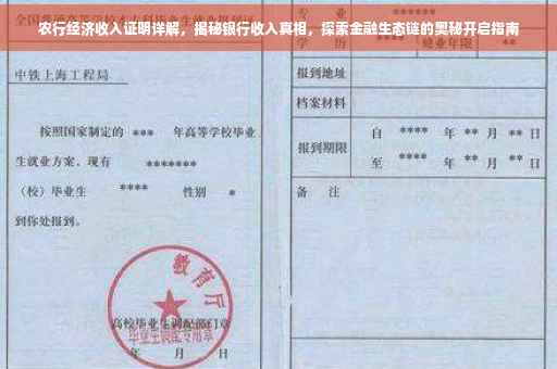 农行经济收入证明详解，揭秘银行收入真相，探索金融生态链的奥秘开启指南