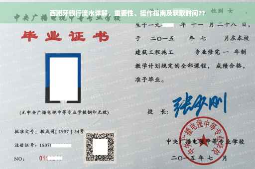 西班牙银行流水详解，重要性、操作指南及获取时间??