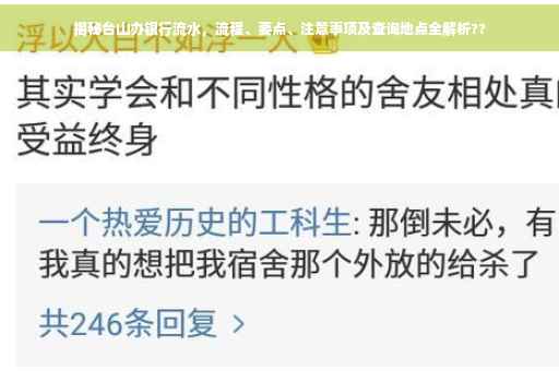揭秘台山办银行流水，流程、要点、注意事项及查询地点全解析??
