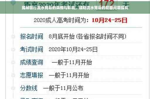 揭秘银行流水背后的真相与影响，瑞刷流水背后的犯罪问题探究