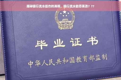 揭秘银行流水操作的真相，银行流水能否更改？??