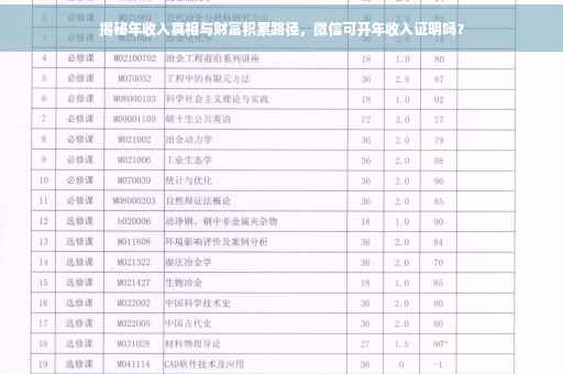 揭秘年收入真相与财富积累路径,微信可开年收入证明吗? 揭秘年收入真相与财富积累路径,微信可开年收入证明吗?
