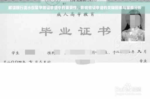 解读银行流水在留学签证申请中的重要性，影响签证申请的关键因素与策略分析