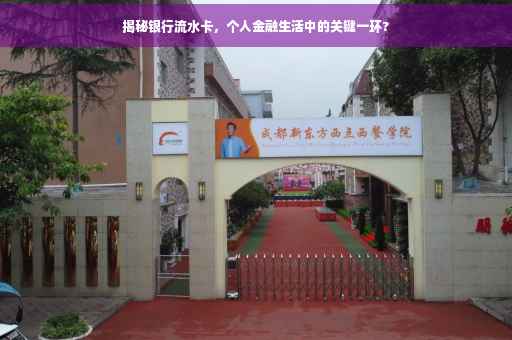 揭秘银行流水卡，个人金融生活中的关键一环?